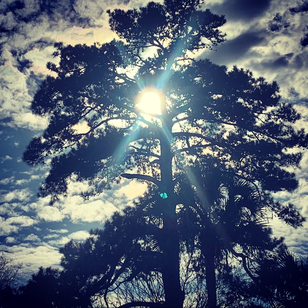 Meet your Posher, Jade